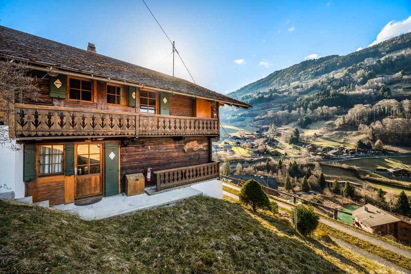 Un chalet de caractère au cœur d’un écrin naturel (2)