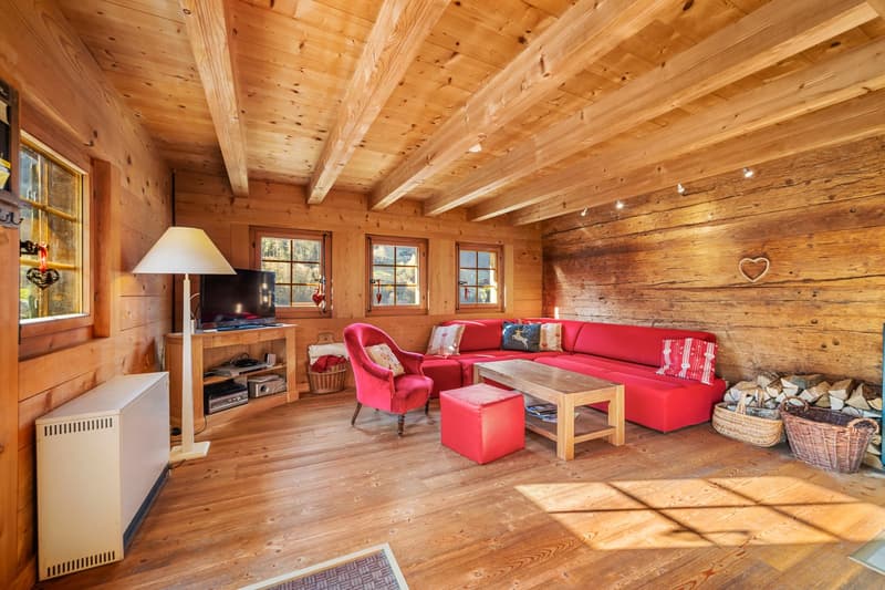 Un chalet de caractère au cœur d’un écrin naturel (3)