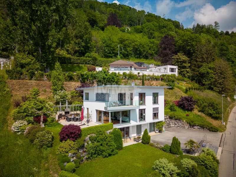 Magnifique villa de standing de sur les hauts de Montreux avec vue imprenable sur le lac. (2)