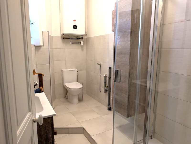 Grenoble Zentrum, renoviertes T2 von 44m2 mit Balkon und Keller (9)