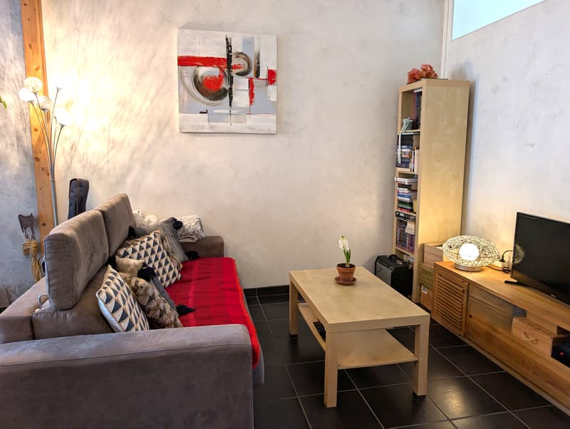 Grenoble Zentrum, renoviertes T2 von 44m2 mit Balkon und Keller (4)