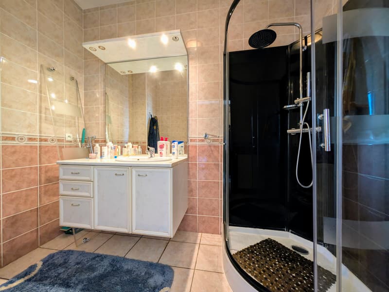 À Vendre : Spacieuse Maison Familiale de 193 m² à Saint-Jean-de-Gonville (10)