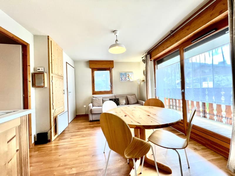 Furnished apartment in Les Gets (8)