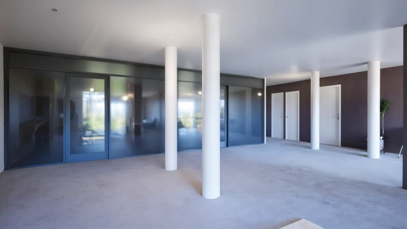 For Sale: 173.7 m² Commercial Space - Saint-Genis-Pouilly (4)