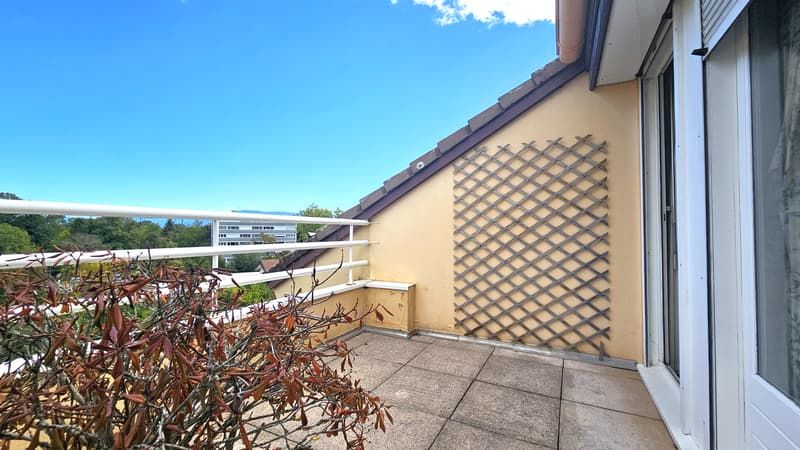 Attic of 145m2 with terraces of 67m2 in Ferney (2)