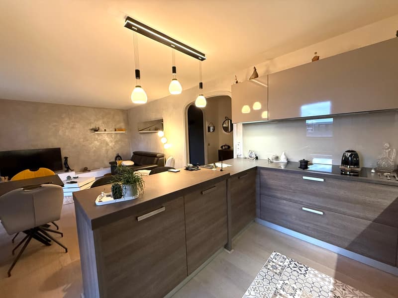 Magnificent 4-room apartment of 83m2 at the foot of the tramway (4)