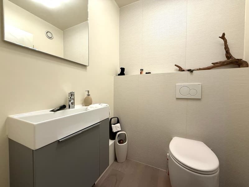 Magnificent 4-room apartment of 83m2 at the foot of the tramway (8)