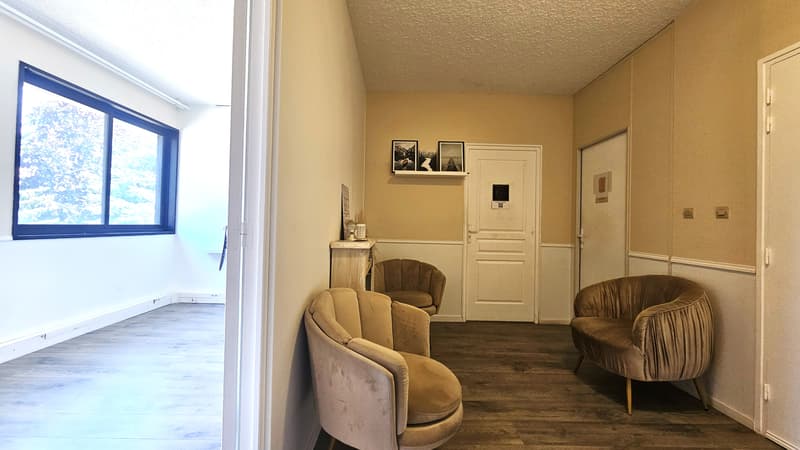 Commercial property with high yield, Ferney, Chemin Levant (3)