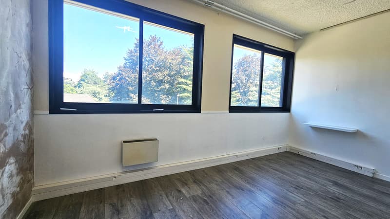 Commercial property with high yield, Ferney, Chemin Levant (2)