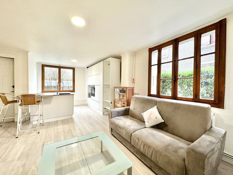 Charming apartment in Cran-Gevrier !!! (1)
