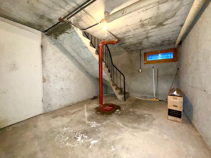 Maison individuelle de 110m2 habitable sur Thonon Est (11)