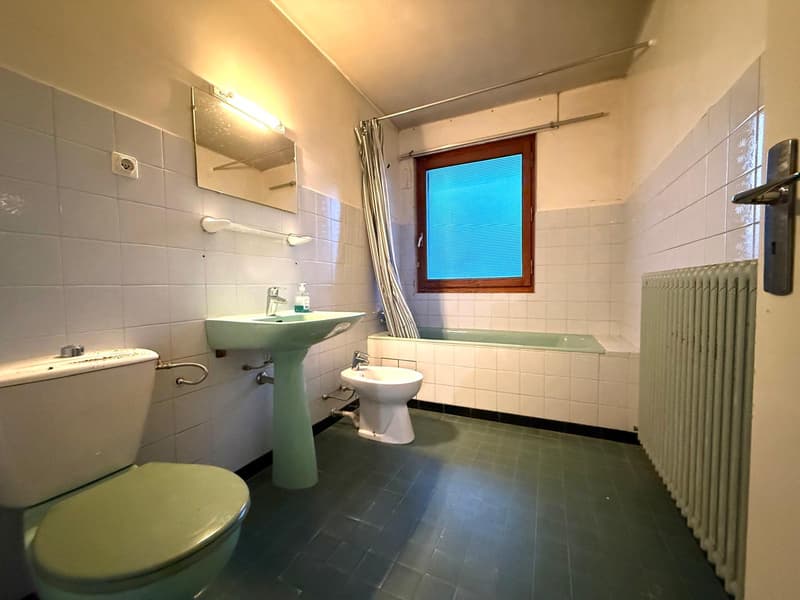 Maison individuelle de 110m2 habitable sur Thonon Est (8)