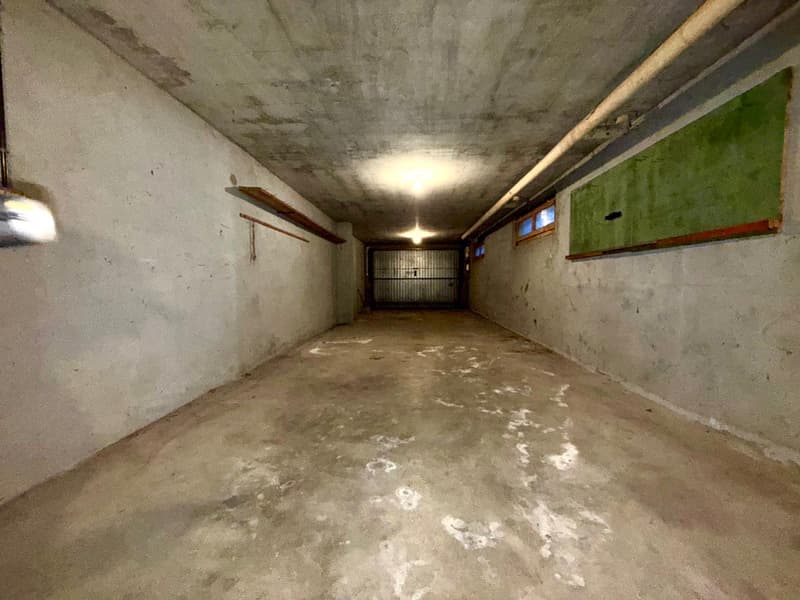 Maison individuelle de 110m2 habitable sur Thonon Est (10)