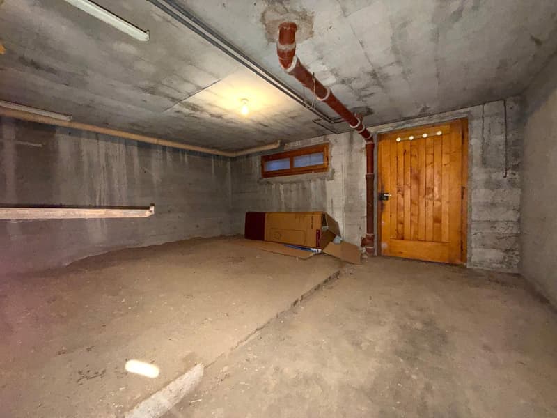Maison individuelle de 110m2 habitable sur Thonon Est (12)