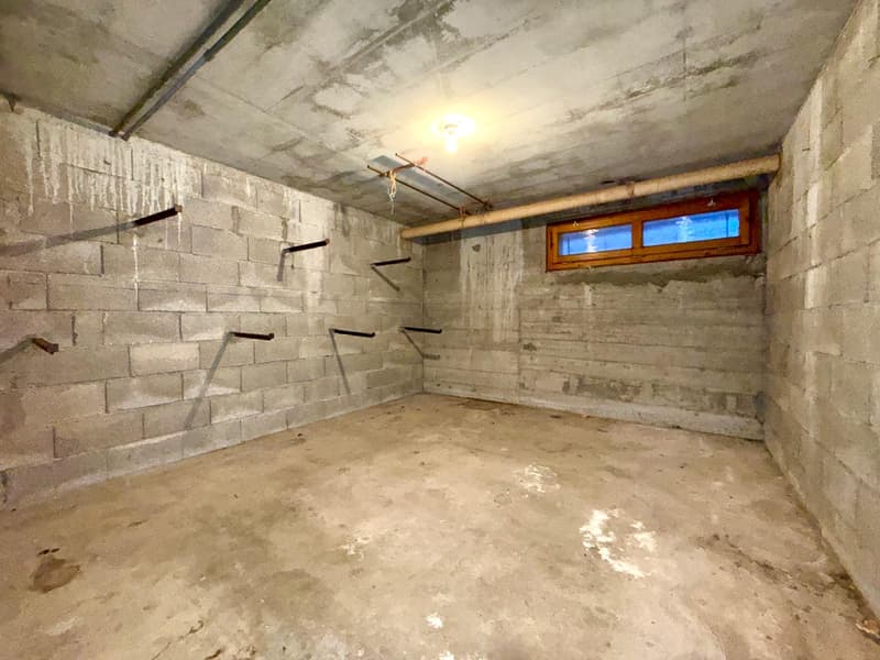 Maison individuelle de 110m2 habitable sur Thonon Est (13)