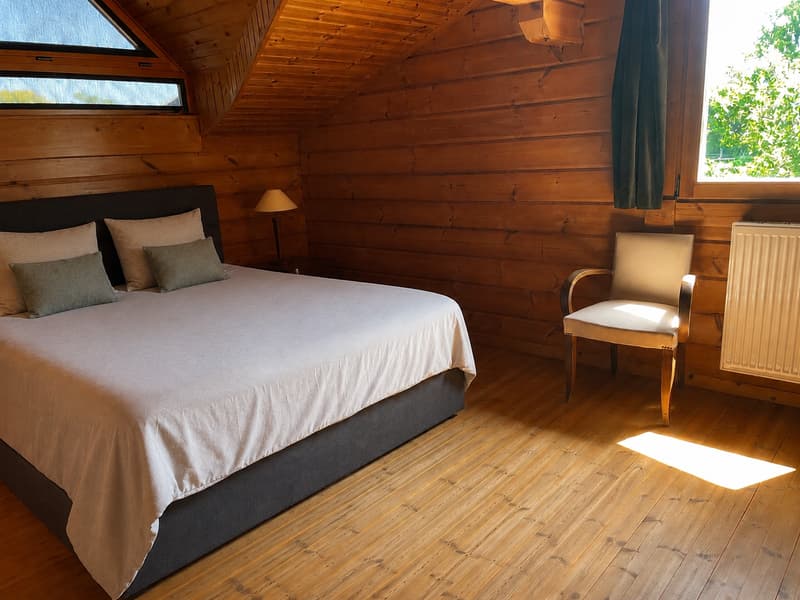 Grande maison à Prevessin sur terrain de 4600m2 (9)