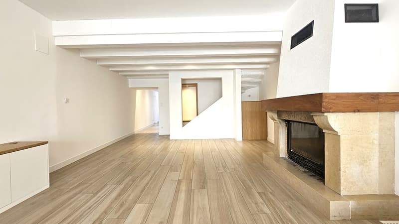 Divonne, renovierte Gessienne-Ferme, RDJ von 225m2, Typ 6 (8)