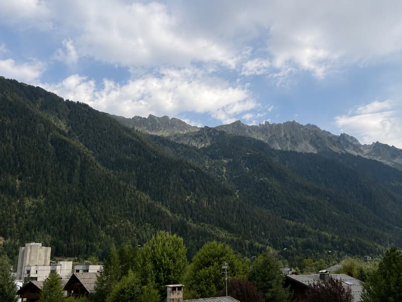 CHAMONIX LES PLANARDS | 52 M² DEUX BALCONS VUES MONT-BLANC (6)