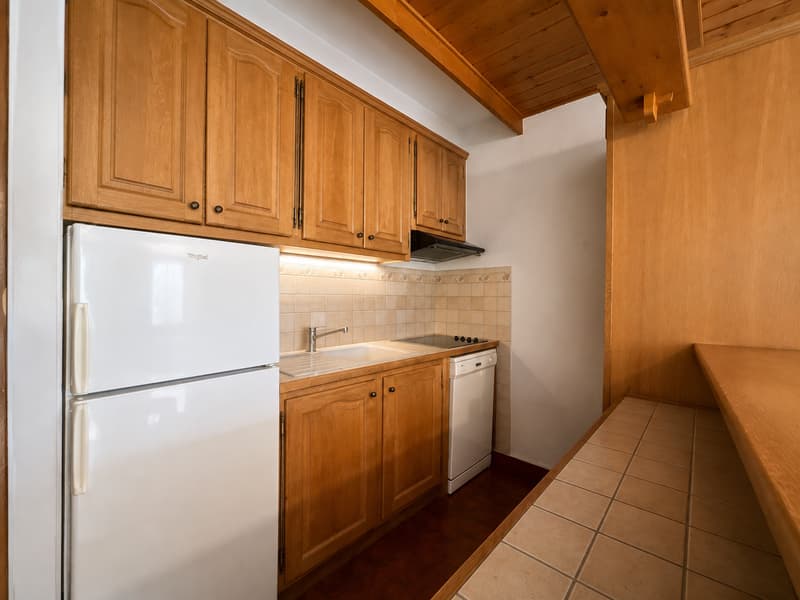 CHAMONIX LES PLANARDS | 52 M² DEUX BALCONS VUES MONT-BLANC (5)