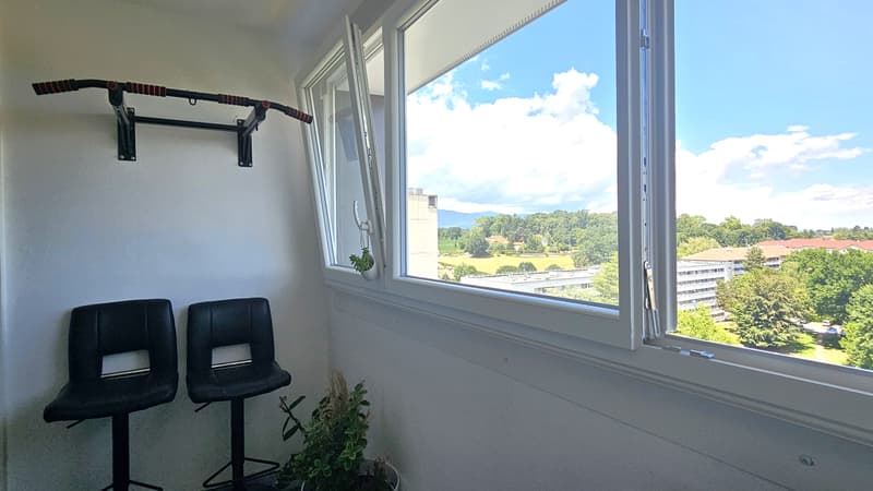 Ferney, T3 en attique 65,5 m² avec parking et cave (3)