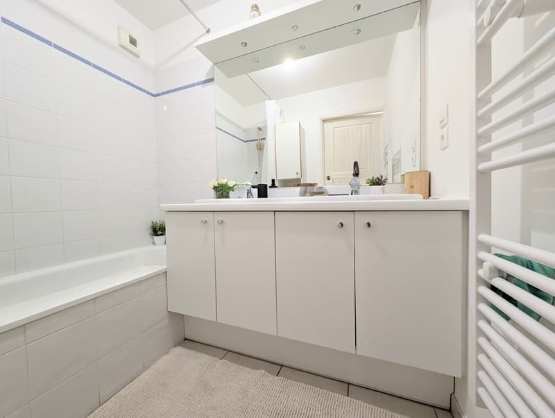 Appartement T3 à vendre loué (bail nu) - Gex (8)