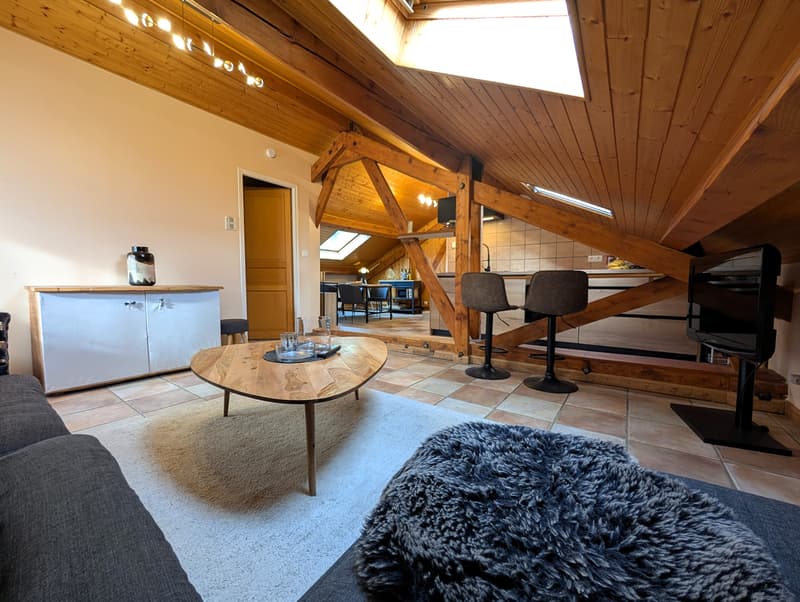 Appartement T1 bis avec place de parking Péron (3)