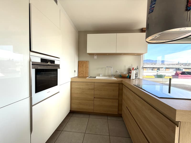 Appartement T3 en attique avec terrasse exceptionnelle à Vetraz Monthoux (3)