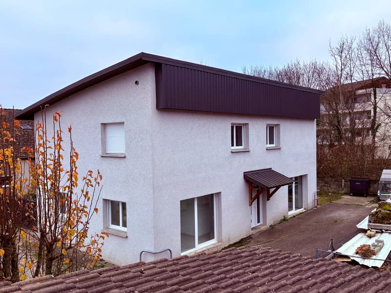 IDEAL INVESTISSEUR: MAISON DOUBLE EN ZONE ARTISANALE (1)