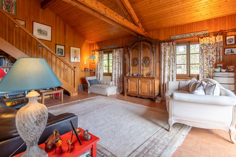 Chalet avec vue exceptionnelle Lac Léman & Mont Blanc 2 logements 227 m² (6)