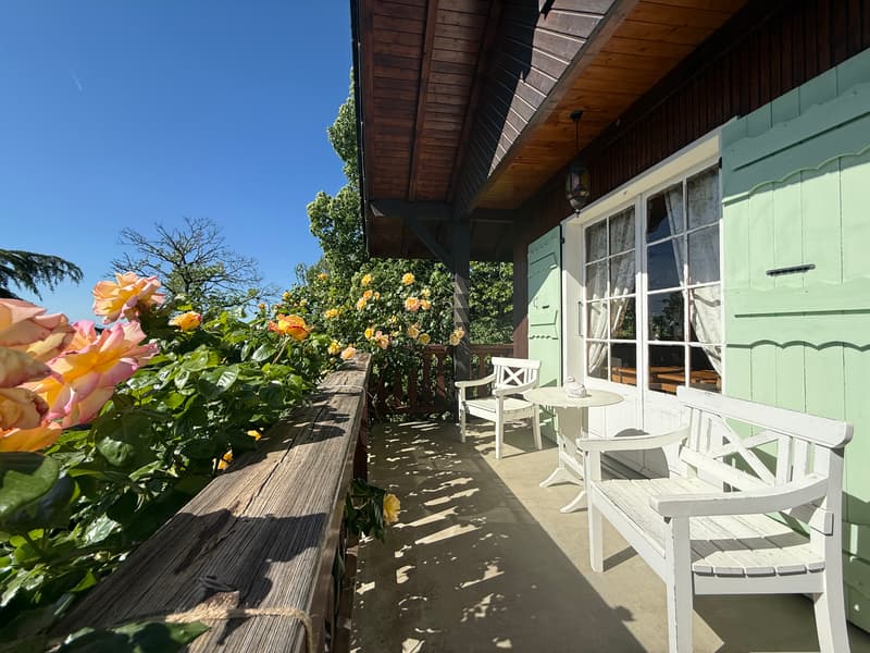 Chalet avec vue exceptionnelle Lac Léman & Mont Blanc 2 logements 227 m² (3)
