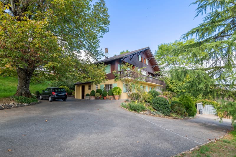 Chalet avec vue exceptionnelle Lac Léman & Mont Blanc 2 logements 227 m² (2)