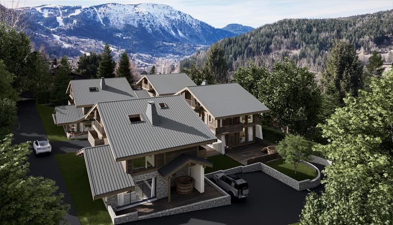 Chalet de haut standing au pied du Mont-Blanc. (11)