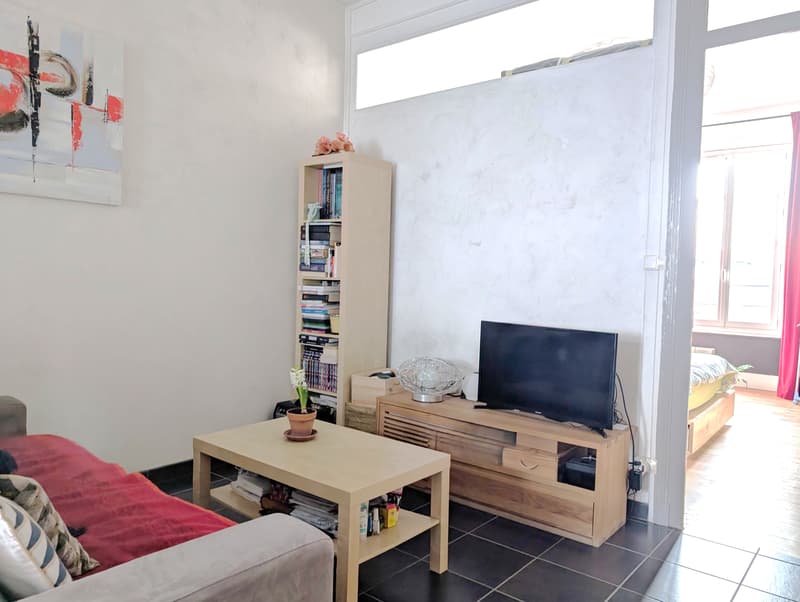 Grenoble centre, T2 rénové de 44m2 avec balcon et cave (6)