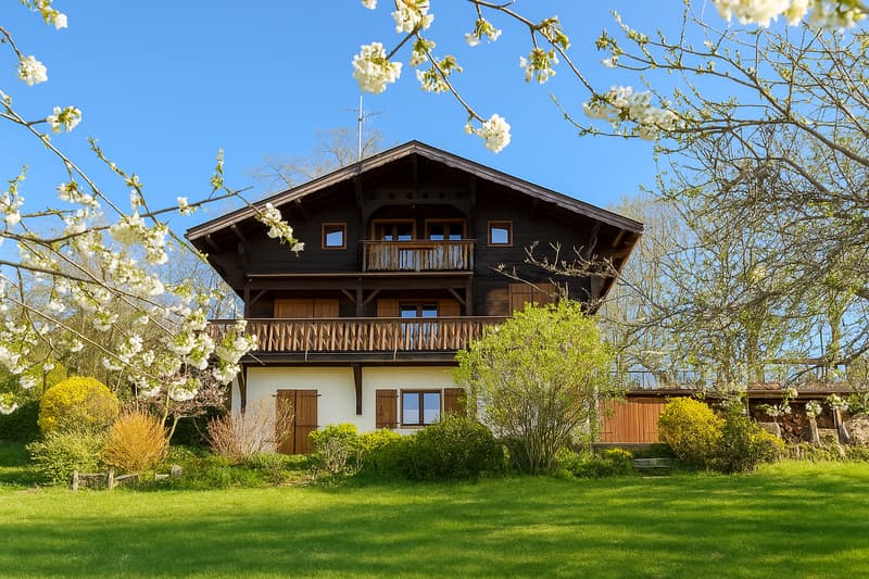 Chalet de charme à Vesancy, proche Divonne (3)