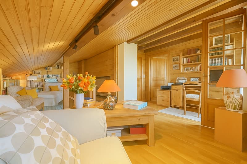 Chalet de charme à Vesancy, proche Divonne (11)