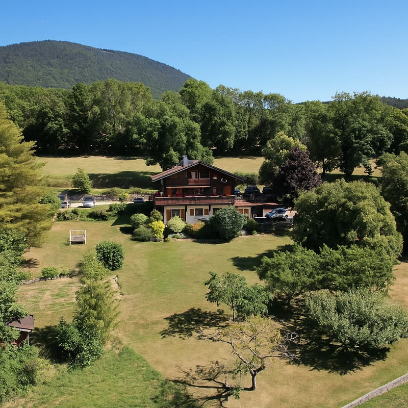 Chalet de charme à Vesancy, proche Divonne (1)