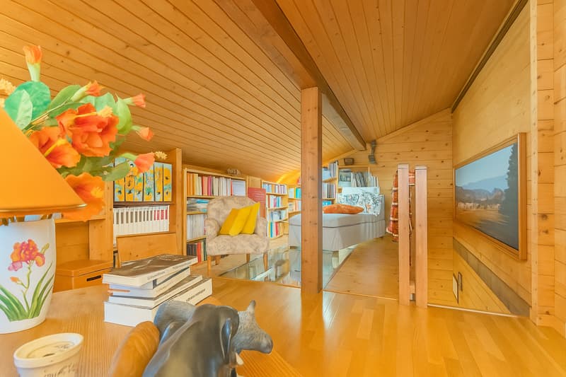 Chalet de charme à Vesancy, proche Divonne (10)