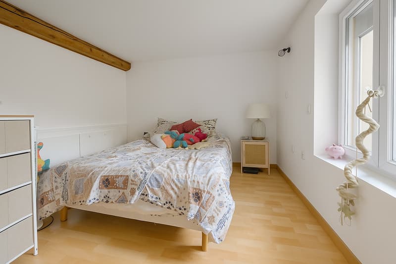 Appartement avec cachet au centre-ville de Gex (10)