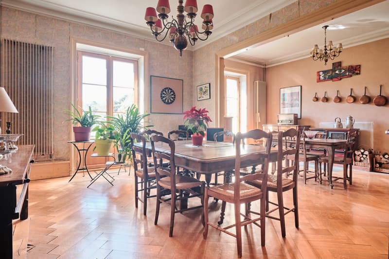 À Vendre : Ensemble Immobilier de 10 Pièces Cachet Rare & Volumes Exceptionnels (7)