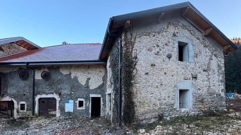 FERME REHABILITEE   PROJET D'INVESTISSEMENT À FORT POTENTIEL   PERMIS PURGÉ   7 LOGEMENTS (3)