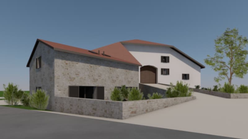 FERME REHABILITEE   PROJET D'INVESTISSEMENT À FORT POTENTIEL   PERMIS PURGÉ   7 LOGEMENTS (10)
