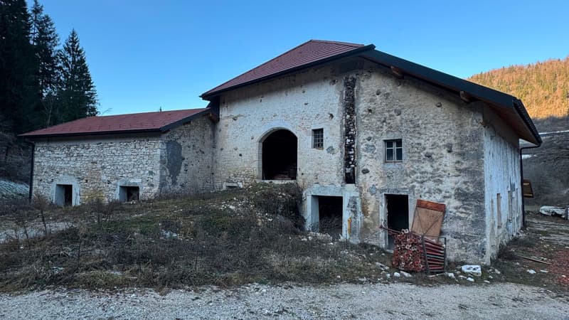 FERME REHABILITEE   PROJET D'INVESTISSEMENT À FORT POTENTIEL   PERMIS PURGÉ   7 LOGEMENTS (6)