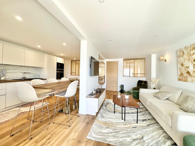 Appartement refait à neuf avec grande terrasse vue lac !!! (4)