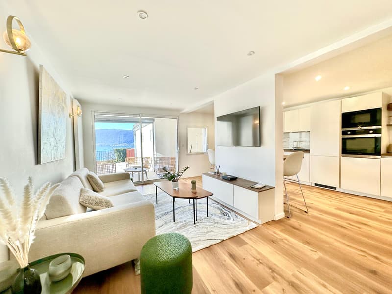 Appartement refait à neuf avec grande terrasse vue lac !!! (11)