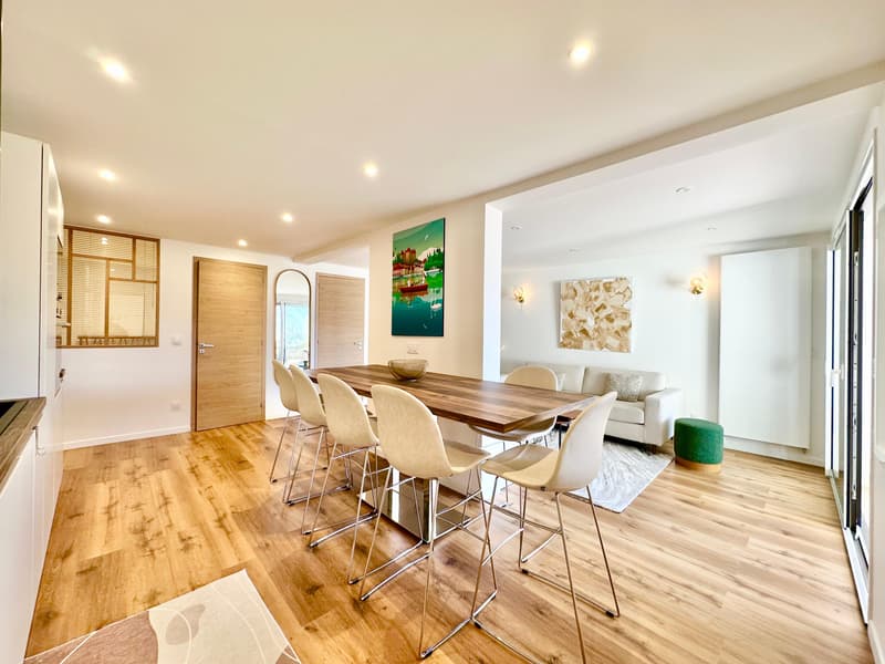 Appartement refait à neuf avec grande terrasse vue lac !!! (5)