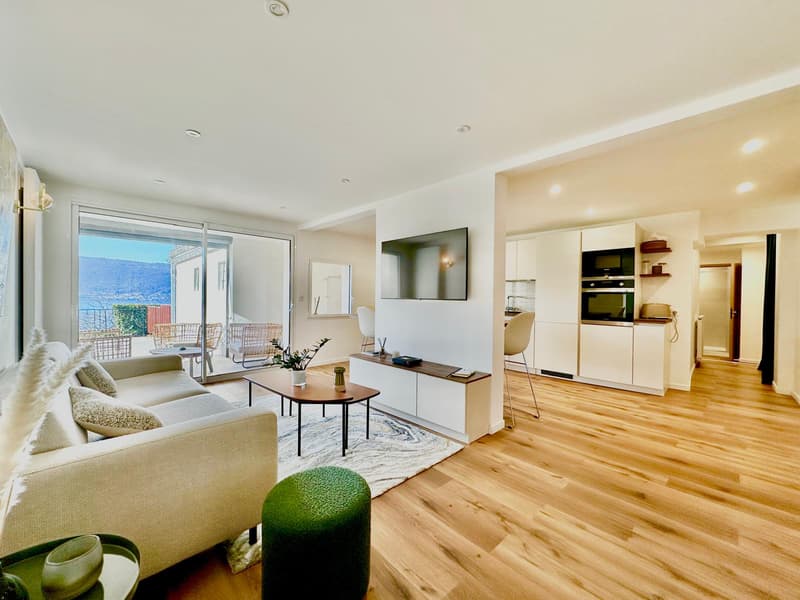 Appartement refait à neuf avec grande terrasse vue lac !!! (3)