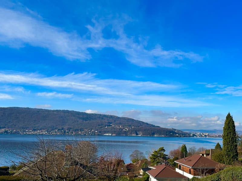 Appartement refait à neuf avec grande terrasse vue lac !!! (1)