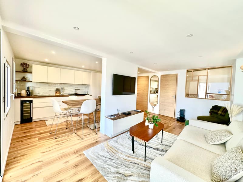 Appartement refait à neuf avec grande terrasse vue lac !!! (13)