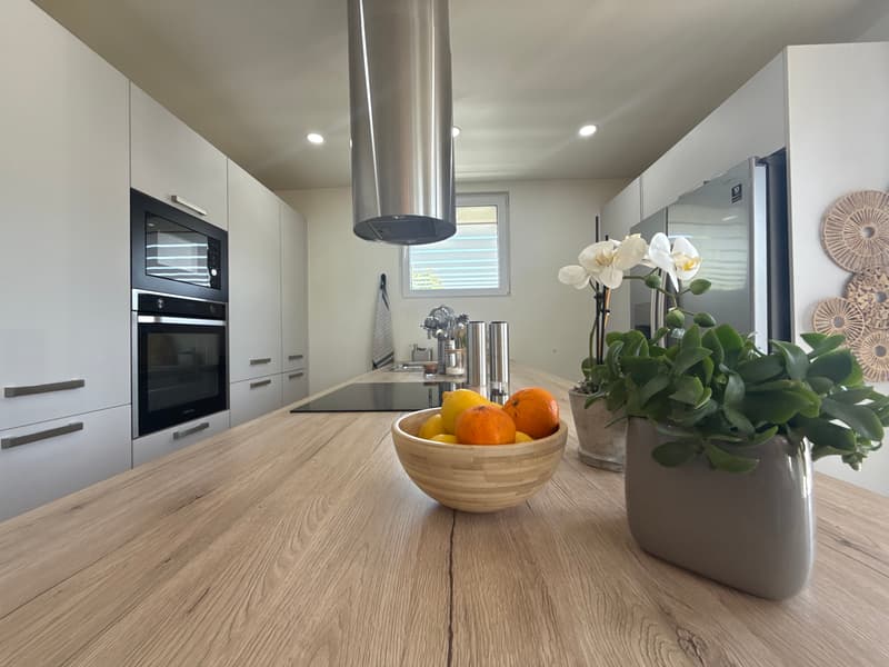 GRANDE PROPRIÉTÉ RARE À VALSERHÔNE AVEC DOUBLE HABITATION (11)