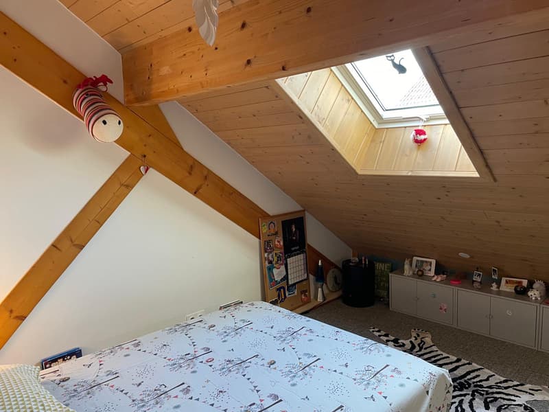 Maison d'architecte en bois (7)